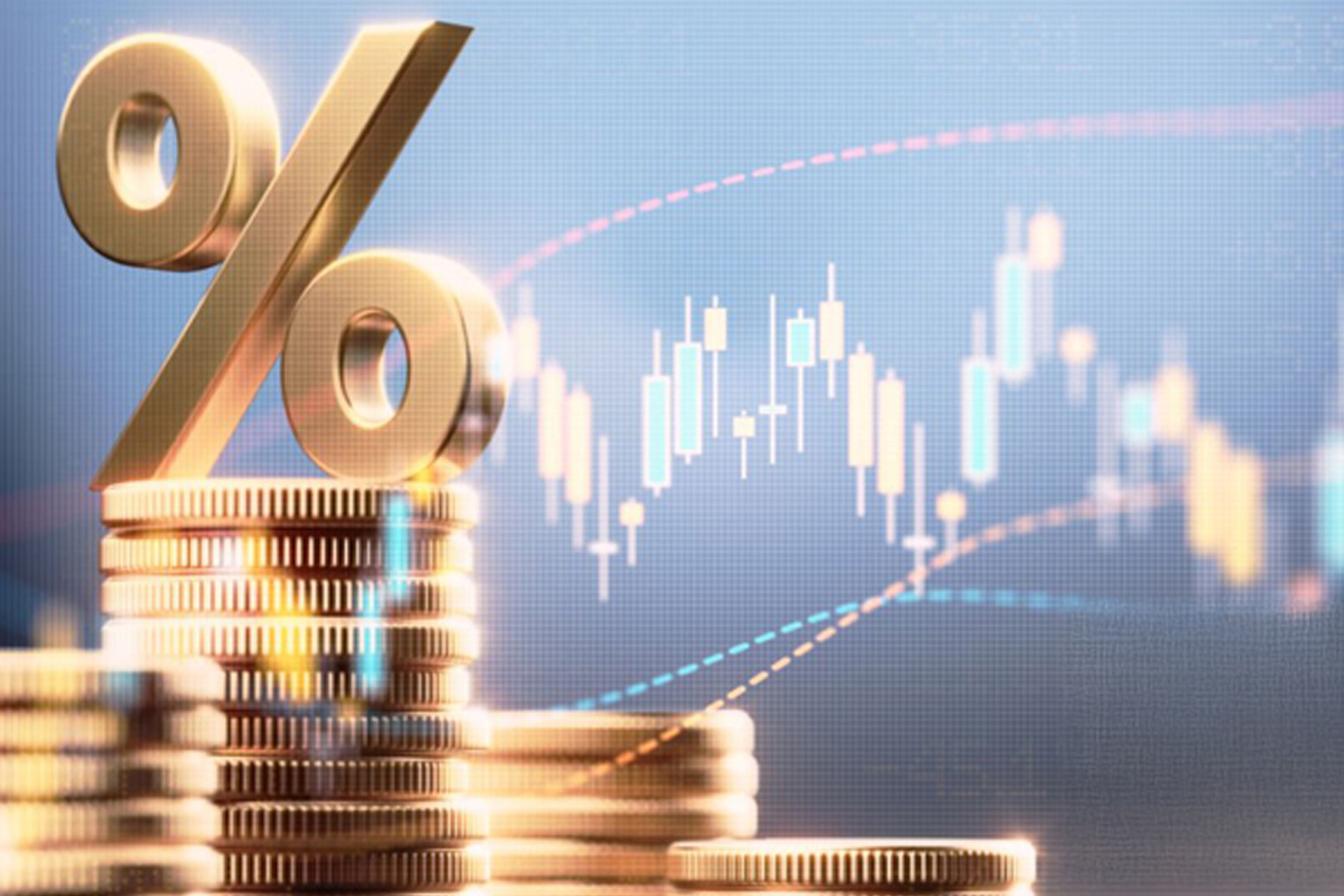 3. Yatırım Teşvikleri ve Serbest Bölgeler